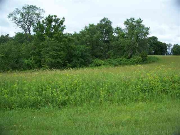 3 Honeycomb, GALENA, Illinois 61036, ,Land,For Sale,Honeycomb,202601643