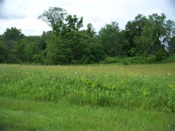 3 Honeycomb, GALENA, Illinois 61036, ,Land,For Sale,Honeycomb,202601643