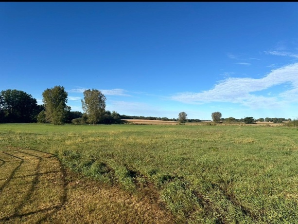 1982 Meridian, ROCKFORD, Illinois 61101, 3 Bedrooms Bedrooms, ,2 BathroomsBathrooms,House,For Sale,Meridian,202601673