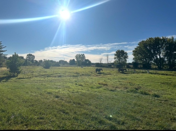 1982 Meridian, ROCKFORD, Illinois 61101, 3 Bedrooms Bedrooms, ,2 BathroomsBathrooms,House,For Sale,Meridian,202601673