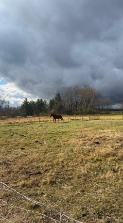 1982 Meridian, ROCKFORD, Illinois 61101, 3 Bedrooms Bedrooms, ,2 BathroomsBathrooms,House,For Sale,Meridian,202601673