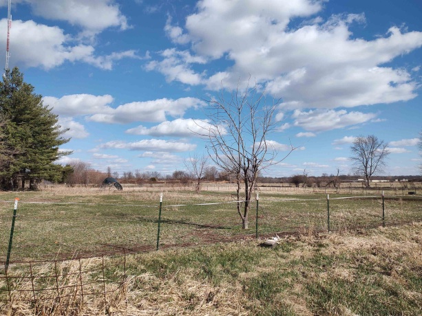 1982 Meridian, ROCKFORD, Illinois 61101, 3 Bedrooms Bedrooms, ,2 BathroomsBathrooms,House,For Sale,Meridian,202601673