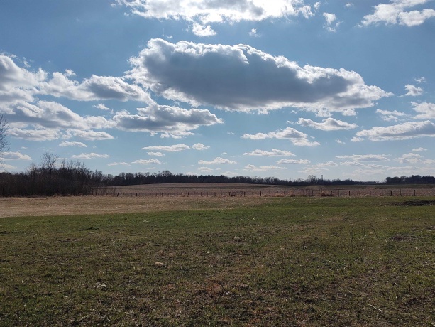 1982 Meridian, ROCKFORD, Illinois 61101, 3 Bedrooms Bedrooms, ,2 BathroomsBathrooms,House,For Sale,Meridian,202601673