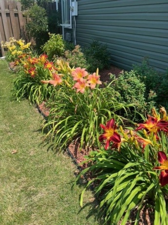 590 Brentwood, MACHESNEY PARK, Illinois 61115, 3 Bedrooms Bedrooms, ,2 BathroomsBathrooms,House,For Sale,Brentwood,202601505