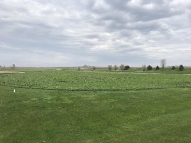 15 Abballee, MENDOTA, Illinois 61342, ,Land,For Sale,Abballee,202601718