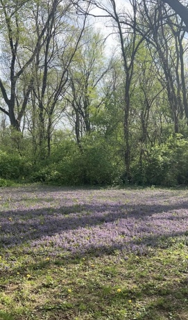 1764 LEONARD, ROCKFORD, Illinois 61109, 1 Bedroom Bedrooms, ,1 BathroomBathrooms,House,For Sale,LEONARD,202601720