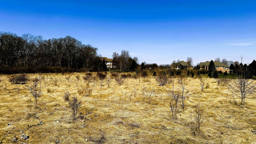 5048 Smokethorn, BELVIDERE, Illinois 61008, ,Land,For Sale,Smokethorn,202601731