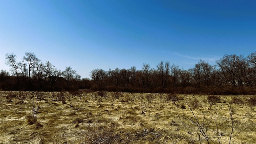 5048 Smokethorn, BELVIDERE, Illinois 61008, ,Land,For Sale,Smokethorn,202601731