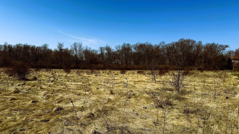 5048 Smokethorn, BELVIDERE, Illinois 61008, ,Land,For Sale,Smokethorn,202601731