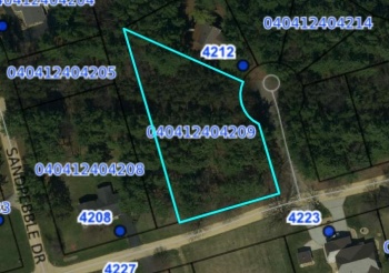 4-209 Beachcomber, LAKE CARROLL, Illinois 61046, ,Land,For Sale,Beachcomber,202601737