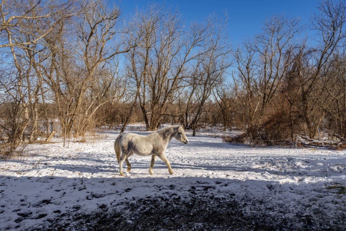 11447 County K, BELOIT, Wisconsin 53511, 3 Bedrooms Bedrooms, ,2 BathroomsBathrooms,House,For Sale,County K,202600653