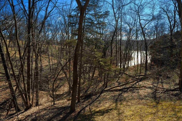 42 Shorewood, GALENA, Illinois 61036, 4 Bedrooms Bedrooms, ,3 BathroomsBathrooms,House,For Sale,Shorewood,202601752