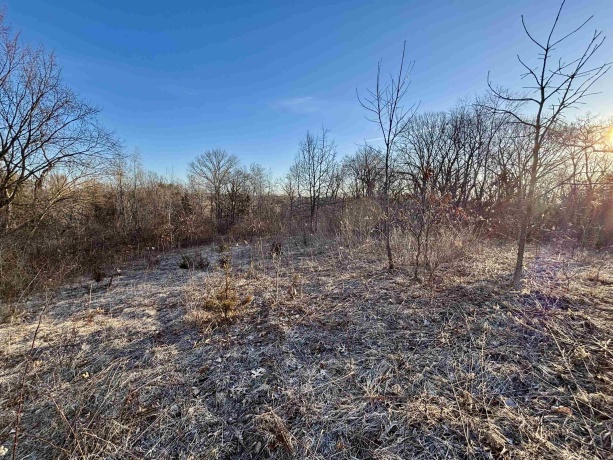 TBD Scenic Ridge, SAVANNA, Illinois 61074, ,Land,For Sale,Scenic Ridge,202601758