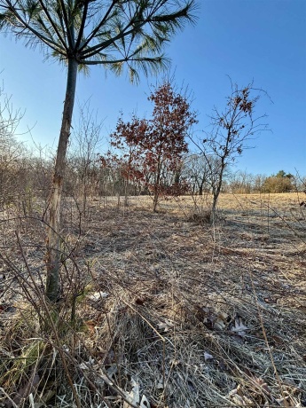 TBD Scenic Ridge, SAVANNA, Illinois 61074, ,Land,For Sale,Scenic Ridge,202601758