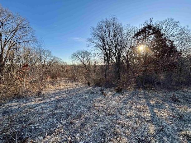 TBD Scenic Ridge, SAVANNA, Illinois 61074, ,Land,For Sale,Scenic Ridge,202601758