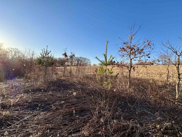 TBD Scenic Ridge, SAVANNA, Illinois 61074, ,Land,For Sale,Scenic Ridge,202601758