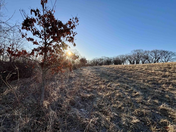 TBD Scenic Ridge, SAVANNA, Illinois 61074, ,Land,For Sale,Scenic Ridge,202601758