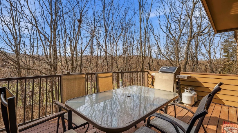 16 Farmstead, GALENA, Illinois 61036, 3 Bedrooms Bedrooms, ,3 BathroomsBathrooms,Condominium,For Sale,Farmstead,202601769