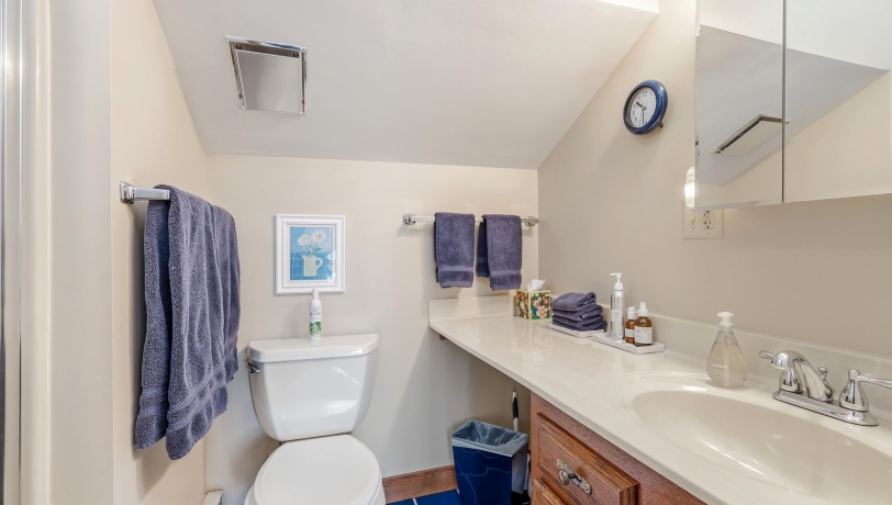 16 Farmstead, GALENA, Illinois 61036, 3 Bedrooms Bedrooms, ,3 BathroomsBathrooms,Condominium,For Sale,Farmstead,202601769