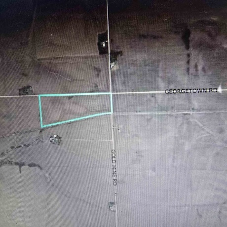 Gold Mine, SHANNON, Illinois 61078, ,Land,For Sale,Gold Mine,202601772