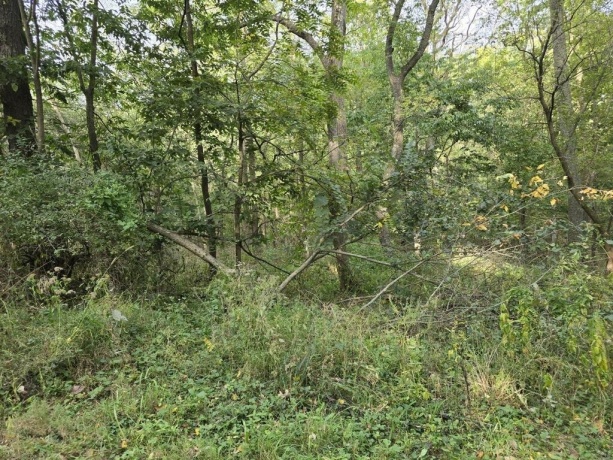 TBD West, GALENA, Illinois 61036, ,Land,For Sale,West,202405556