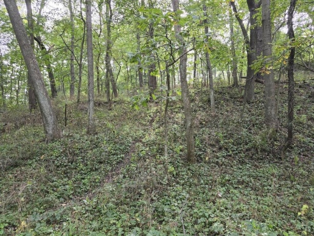 TBD West, GALENA, Illinois 61036, ,Land,For Sale,West,202405556