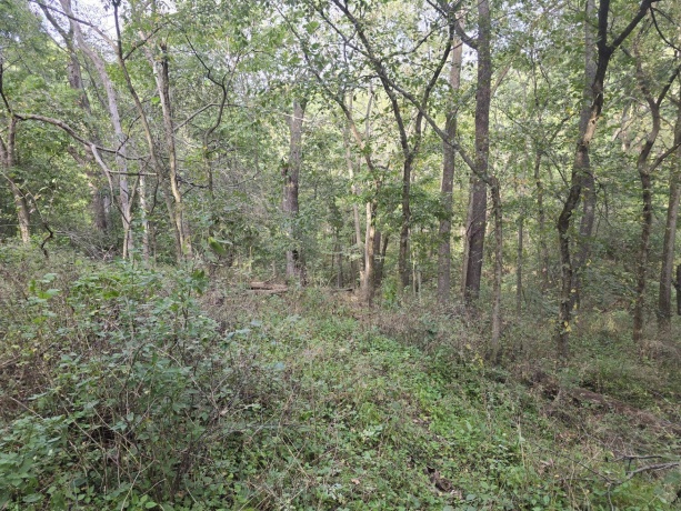 TBD West, GALENA, Illinois 61036, ,Land,For Sale,West,202405556