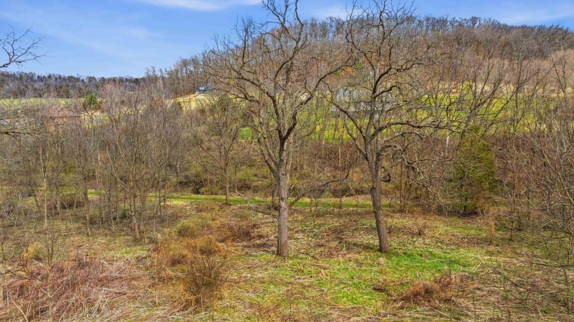 134 Cogan, GALENA, Illinois 61036, ,Land,For Sale,Cogan,202601783