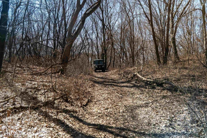 0 Holly, FULTON, Illinois 61252, ,Land,For Sale,Holly,202601787