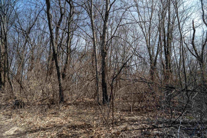 0 Holly, FULTON, Illinois 61252, ,Land,For Sale,Holly,202601787