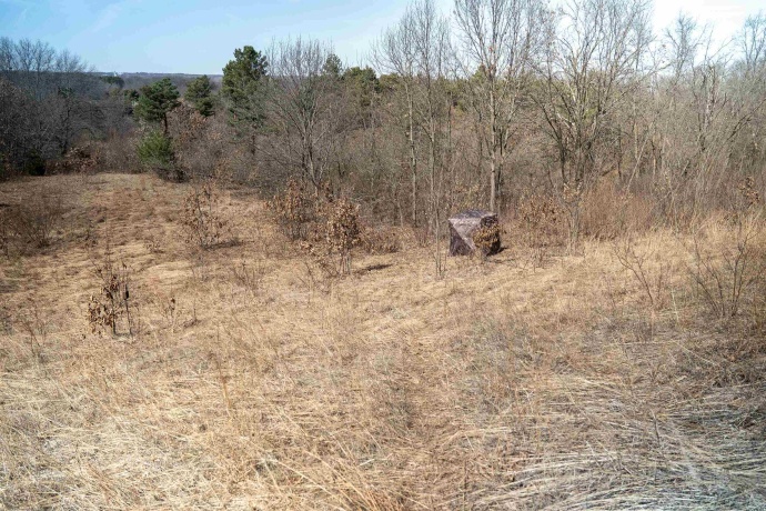 0 Holly, FULTON, Illinois 61252, ,Land,For Sale,Holly,202601787