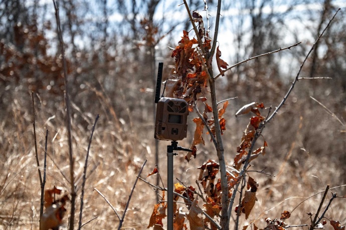 0 Holly, FULTON, Illinois 61252, ,Land,For Sale,Holly,202601787