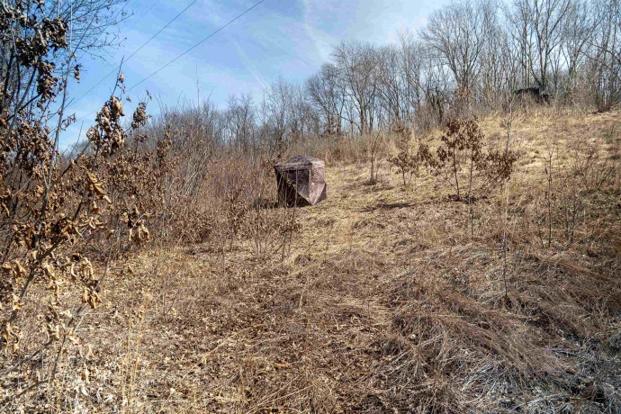 0 Holly, FULTON, Illinois 61252, ,Land,For Sale,Holly,202601787