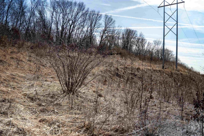 0 Holly, FULTON, Illinois 61252, ,Land,For Sale,Holly,202601787