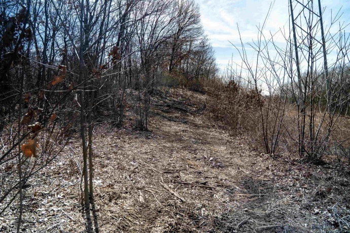 0 Holly, FULTON, Illinois 61252, ,Land,For Sale,Holly,202601787