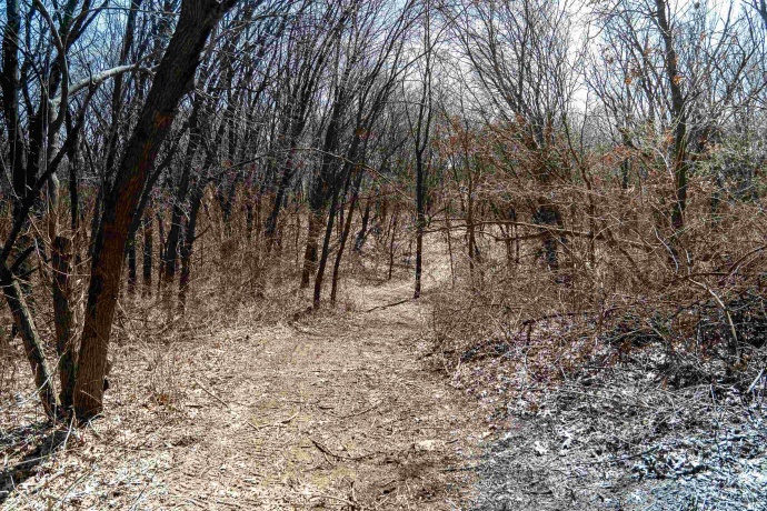 0 Holly, FULTON, Illinois 61252, ,Land,For Sale,Holly,202601787