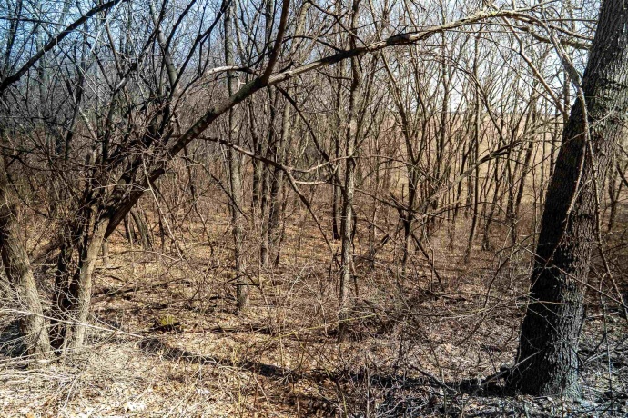 0 Holly, FULTON, Illinois 61252, ,Land,For Sale,Holly,202601787