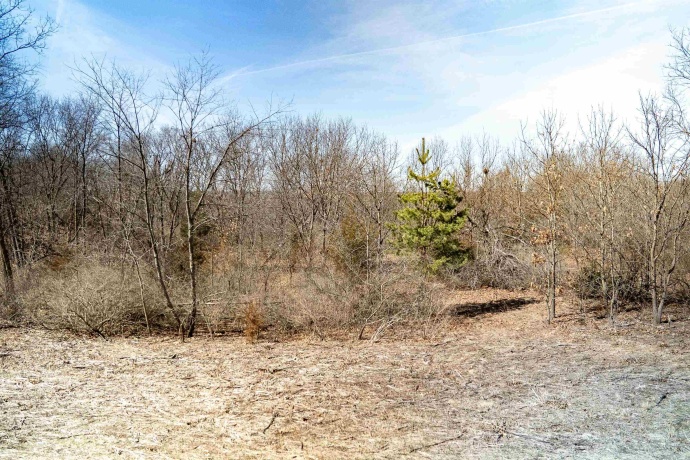 0 Holly, FULTON, Illinois 61252, ,Land,For Sale,Holly,202601787