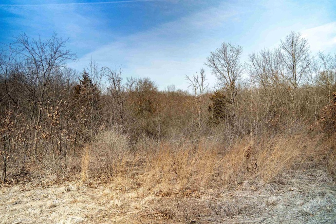 0 Holly, FULTON, Illinois 61252, ,Land,For Sale,Holly,202601787
