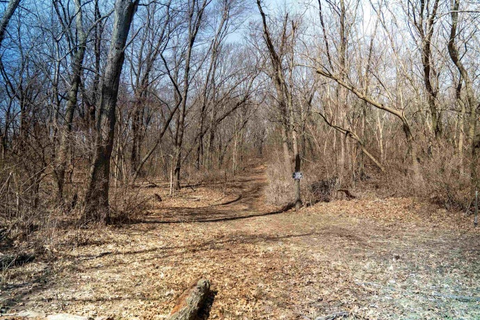 0 Holly, FULTON, Illinois 61252, ,Land,For Sale,Holly,202601787