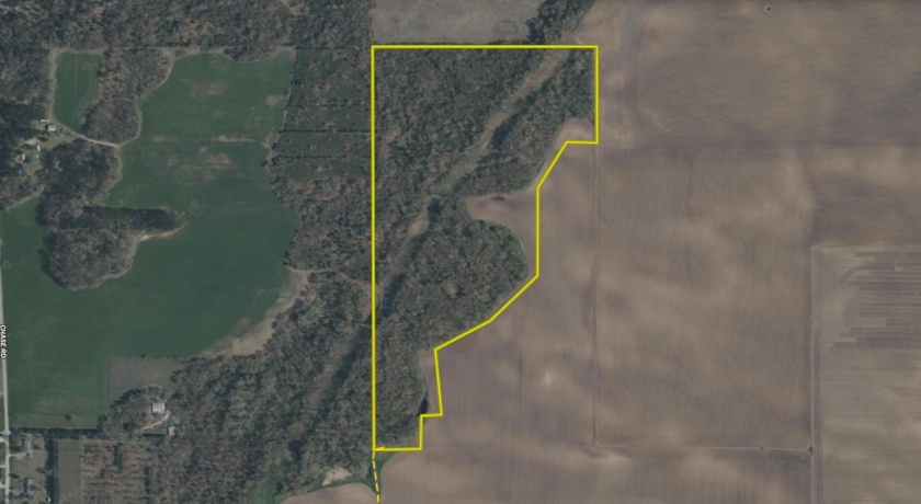 0 Holly, FULTON, Illinois 61252, ,Land,For Sale,Holly,202601787