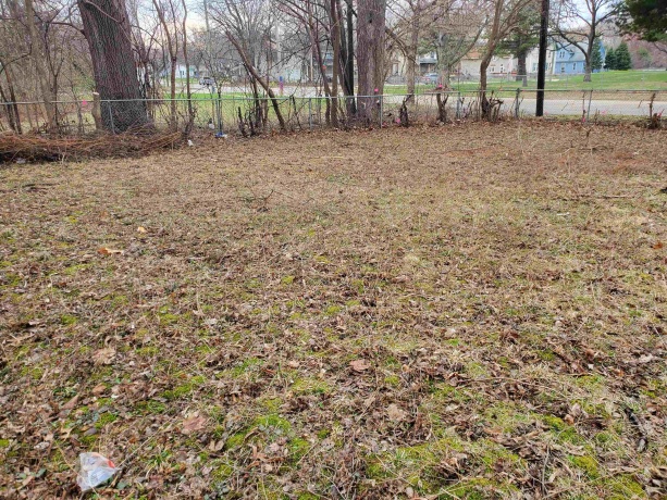 730 Woodlawn, ROCKFORD, Illinois 61103, 3 Bedrooms Bedrooms, ,1 BathroomBathrooms,House,For Sale,Woodlawn,202601797