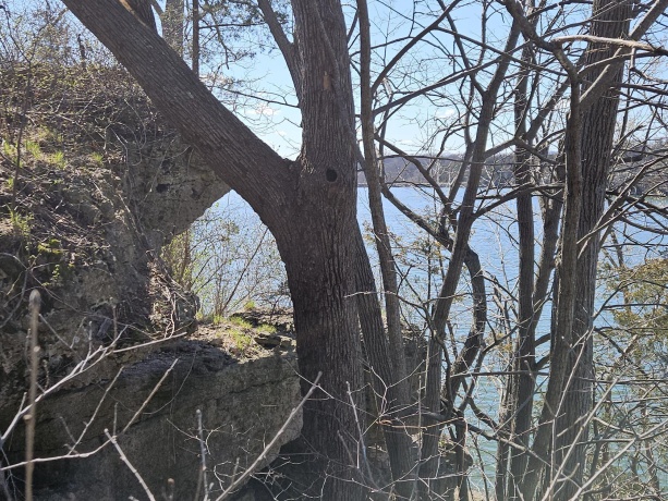 A7 Long Bay Point Drive, GALENA, Illinois 61036, 3 Bedrooms Bedrooms, ,3 BathroomsBathrooms,Condominium,For Sale,Long Bay Point Drive,202601800