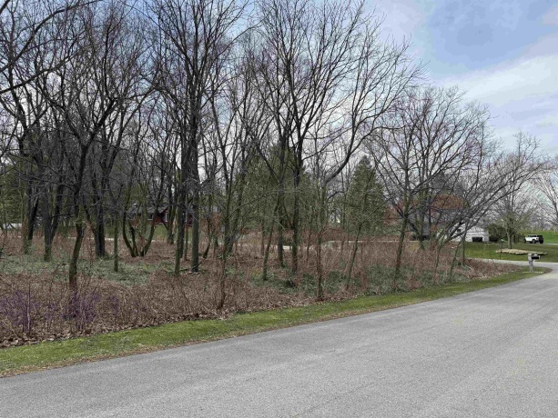 10365 KNIGHTS ARMOR, ROSCOE, Illinois 61073, ,Land,For Sale,KNIGHTS ARMOR,202601807