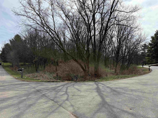 10365 KNIGHTS ARMOR, ROSCOE, Illinois 61073, ,Land,For Sale,KNIGHTS ARMOR,202601807