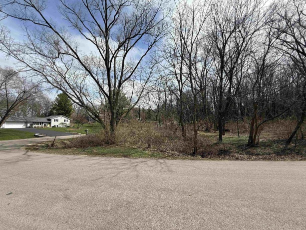 10365 KNIGHTS ARMOR, ROSCOE, Illinois 61073, ,Land,For Sale,KNIGHTS ARMOR,202601807