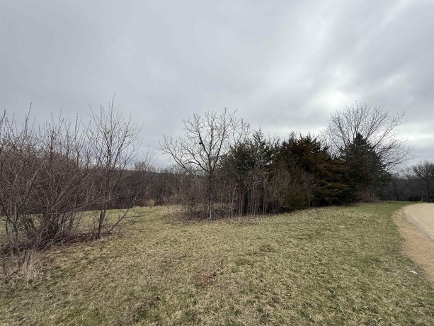 4 Peninsula, GALENA, Illinois 61036, ,Land,For Sale,Peninsula,202601814