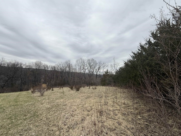 4 Peninsula, GALENA, Illinois 61036, ,Land,For Sale,Peninsula,202601814