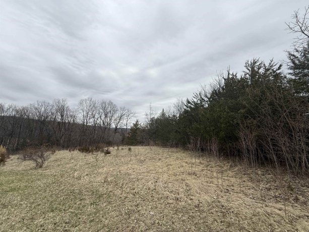 4 Peninsula, GALENA, Illinois 61036, ,Land,For Sale,Peninsula,202601814