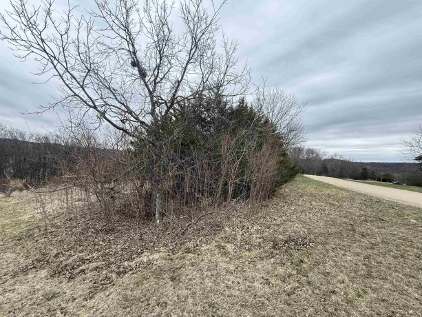 4 Peninsula, GALENA, Illinois 61036, ,Land,For Sale,Peninsula,202601814